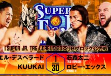NJPW Super Junior Tag League