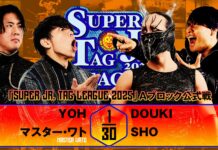 NJPW Super Junior Tag League