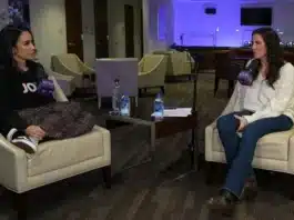 AJ Lee - Stephanie McMahon