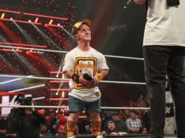 Mini John Cena