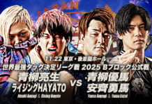 AJPW Real World Tag League