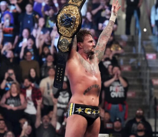 CM Punk - WWE Title