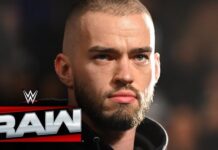 Was Austin Theory The Right Choice?