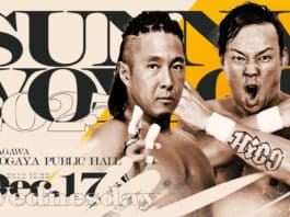 Pro Wrestling Noah Sunny Voyage