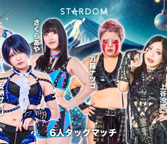 Stardom In Fuji