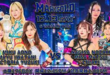 Marigold True Victory Night 7 Results – December 13, 2025 Marigold True Victory