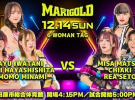 Marigold True Victory