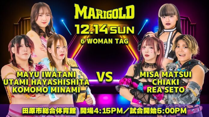 Marigold True Victory Marigold True Victory