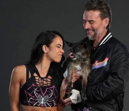 AJ Lee, CM Punk, Larry