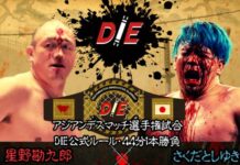 DIE Wrestling #17 Results – December 29, 2025 DIE Wrestling #17