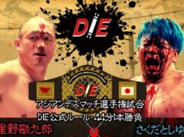 DIE Wrestling #17