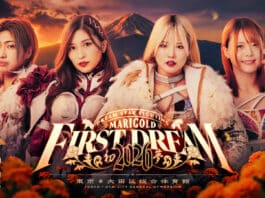 Marigold First Dream