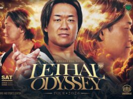 Pro Wrestling Noah Lethal Odyssey