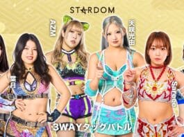 Stardom New Year Dream