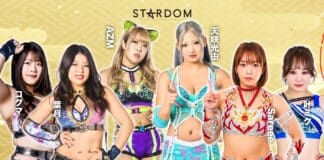 Stardom New Year Dream