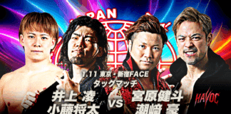 AJPW New Year's Fan Appreciation Day