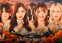 Marigold New Years Golden Garden