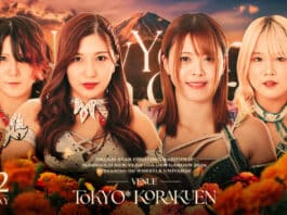 Marigold New Years Golden Garden