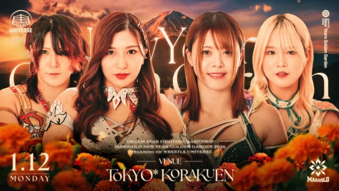 Marigold New Years Golden Garden Marigold New Years Golden Garden