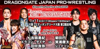 Dragon Gate Open The New Year Gate