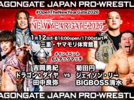 Dragon Gate Open The New Year Gate