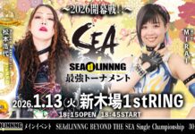Seadlinning Shinkiba Series Vol 1