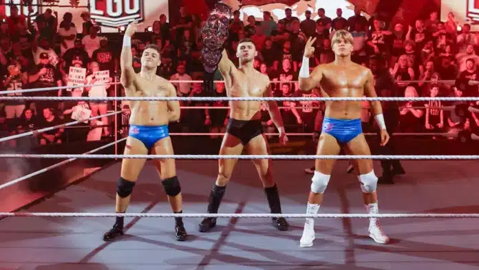 The Vanity Project The Vanity Project