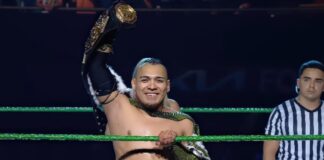 El Hijo Del Vikingo