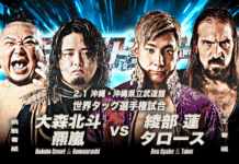 AJPW Excite Series