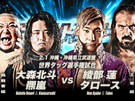 AJPW Excite Series