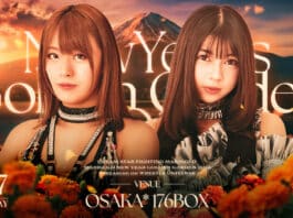 Marigold New Years Golden Garden