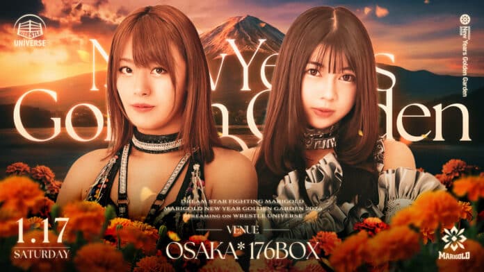 Marigold New Years Golden Garden Marigold New Years Golden Garden