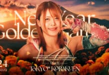 Marigold New Year Golden Garden