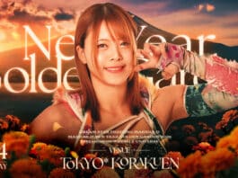 Marigold New Year Golden Garden