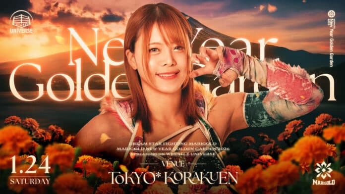 Marigold New Year Golden Garden Marigold New Year Golden Garden