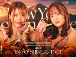 Marigold New Year Golden Garden