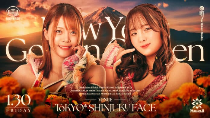 Marigold New Year Golden Garden Marigold New Year Golden Garden