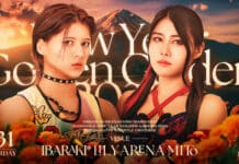 Marigold New Year Golden Garden