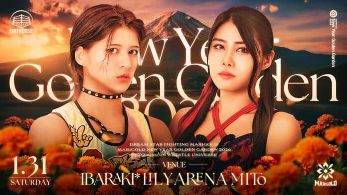 Marigold New Year Golden Garden Marigold New Year Golden Garden