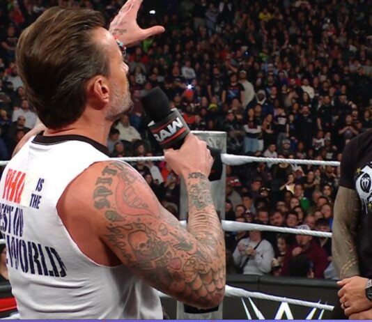 CM Punk - Roman Reigns