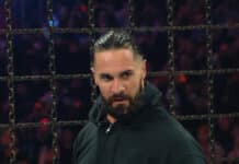 Seth Rollins WWE Elimination Chamber 2026