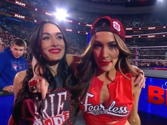 The Bella Twins