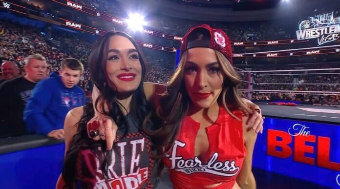 The Bella Twins The Bella Twins