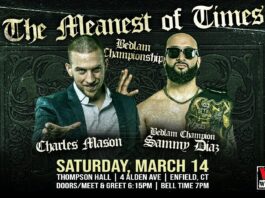 Blitzkrieg Pro The Meanest Of Times