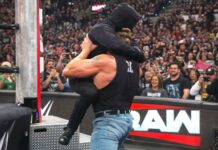 Masked Man - Brock Lesnar