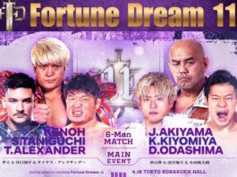 Fortune Dream 11