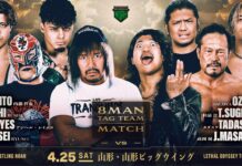 Pro Wrestling Noah Lethal Odyssey