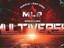 MLP Multiverse