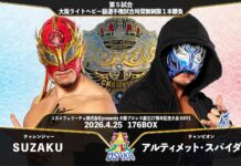 OPW 27th Anniversary Show