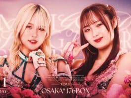 Marigold Spring Victory Series